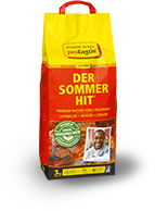 DER SOMMER HIT